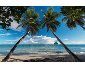 Fotobehang van palmbomen die langs de kustlijn van een tropisch strand staan, met helderblauw water op de achtergrond.