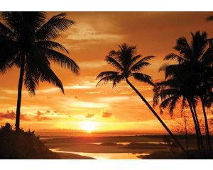 Palmbomen bij zonsondergang, fotobehang met een zomerse en tropische sfeer voor een ontspannen interieur.