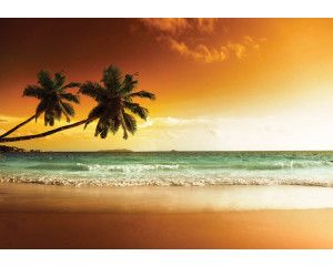 Fotobehang van palmbomen boven een tropisch strand en zee, met een rustige sfeer.