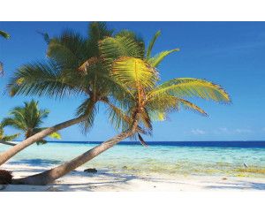 Fotobehang van een tropisch strand met groene palmbomen, een azuurblauwe zee en een stralende zon aan de horizon.