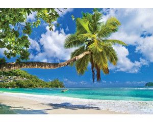 Fotobehang van een tropisch strand met palmbomen en helderblauw water, met een serene en exotische sfeer.