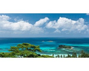 Seychellen palmbomen stranden fotobehang, met een paradijselijk strandlandschap.