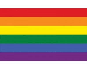 Fotobehang met een regenboogvlag, kleurrijk en levendig.