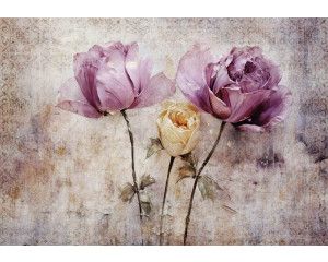 Rozen afgebeeld op een betonnen muur, een gedetailleerd fotobehang met een kunstzinnige bloemenpracht.