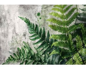 Fotobehang Rustieke Varens op Stoere Betonstructuur