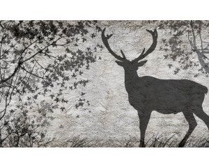 Fotobehang met de schaduw van een hert op een betonnen muur, urban stijl.