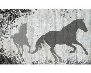 Fotobehang met een schaduw van paarden op een betonnen muur, met een industriële sfeer.