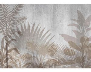 Fotobehang Schaduwen van Planten