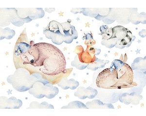 Fotobehang met slapende dieren, schattige illustraties van verschillende diersoorten.