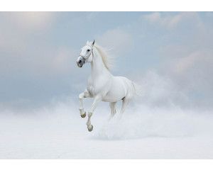 Fotobehang voetbal door de muur met 3D-effect van een bal die door gebarsten wand knalt.