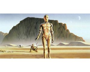 Star Wars droids fotobehang, met de geliefde robots R2-D2 en C-3PO.