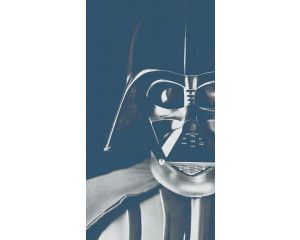 Star Wars Darth Vader fotobehang, met de iconische schurk in actie.