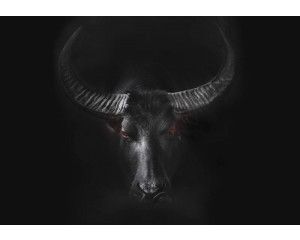 Fotobehang van een krachtige stier, dynamisch weergegeven in een industriële setting met sterke contrasten.