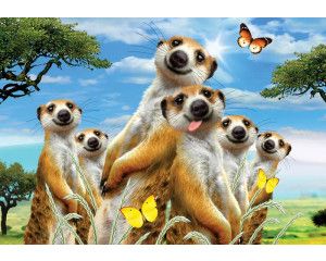 Stokstaartjes en dieren, dolle beestenboel fotobehang met een grappige weergave voor kinderen.