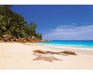 Strand en zee, fotobehang met een kalmerend en natuurgetrouw uitzicht op de horizon.