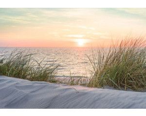 Fotobehang van een strand en duinen bij zonsondergang, warme kleuren.
