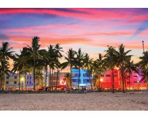 Avondbeeld van een strand met palmbomen langs de kust en de rustige zee onder een heldere sterrenhemel, fotobehang dat sereniteit uitstraalt.