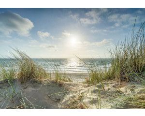 Fotobehang Strand met Duinen en Zee met uitzicht over zand, helmgras en glinsterende golven.