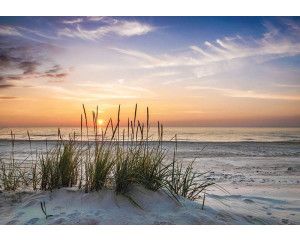 Fotobehang helmgras op zandduinen met uitzicht op zee bij zonsondergang.