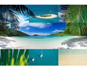 Strand met palmbomen en blauwe zee, weergegeven op een prachtig fotobehang voor een zomerse sfeer.