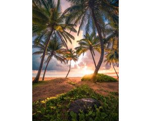 Paradijs strand fotobehang, met het stralende zonlicht van Puerto Rico.