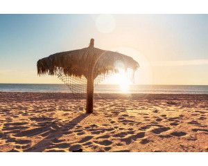 Fotobehang van een tropisch strand met een prachtige zonsondergang, waar de zee en palmbomen harmonieus samenkomen.