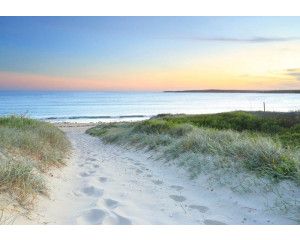 Een strandpad dat door de duinen naar de zee leidt op dit fotobehang, met een rustgevende en natuurlijke uitstraling.