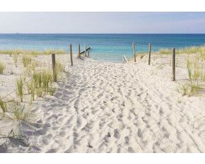 Fotobehang van een zandpad door de duinen met uitzicht op de zee.