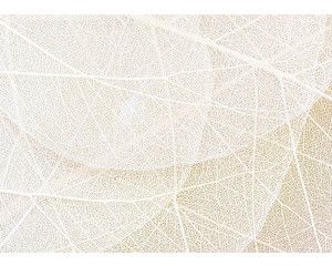 Fotobehang Structuur van Bladeren