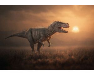 Fotobehang T-Rex in de avondzon met een realistische dinosaurus in het grasland bij zonsondergang.