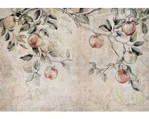 Fotobehang van takken van een appelboom met appels, voor een landelijke sfeer.