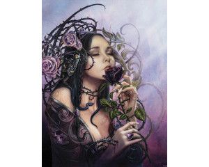 Fotobehang van de midnight rose met een vrouw en roos, alchemie thema.