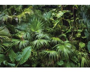 Tropische jungle met weelderige groene planten en exotische bloemen, fotobehang dat een oase van rust en natuur creëert.