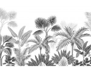 Fotobehang Tropische Planten in de Jungle