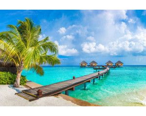 Fotobehang van een tropische vakantie op de Malediven, met palmbomen langs het strand en de turquoise zee.