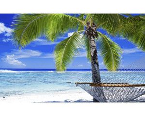 Fotobehang met een palmboom aan een zonnig strand, compleet met een hangmat en helderblauwe lucht, perfect voor een tropische uitstraling.