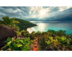 Tuin van Verleiding landschap fotobehang, met een betoverende zonsondergang.