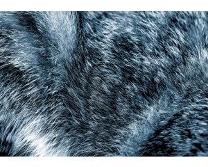 Gedetailleerde vacht van verschillende dieren, natuurgetrouw weergegeven op dit fotobehang met een zachte textuur.