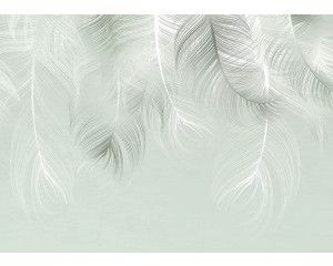 Fotobehang Veren Droom