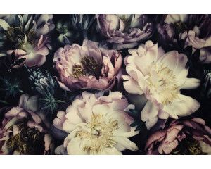 Fotobehang van prachtige vintage pioenen en bloemen, elegant weergegeven.