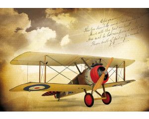 Vintage dubbeldekker vliegtuig, gedetailleerd op fotobehang met een klassieke uitstraling.