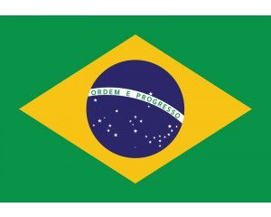Fotobehang met de Braziliaanse vlag, levendig groen en geel.