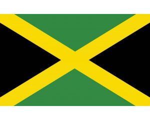 Fotobehang met de vlag van Jamaica, felgekleurd.