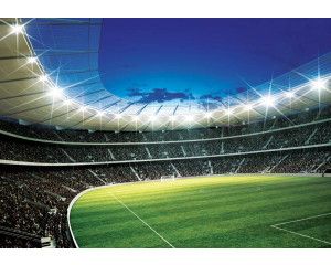 Een voetbalstadion met kinderen die voetballen is op dit fotobehang te zien.