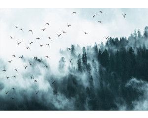 Fotobehang van vogels in de mist met een bos en bomen op de achtergrond.