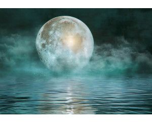 Fotobehang met een heldere volle maan die weerspiegelt in het stille water onder een nachtelijke hemel.