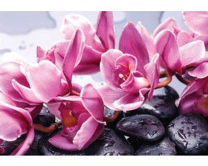 Wellness fotobehang van een spa met sauna, bloemen en stenen.