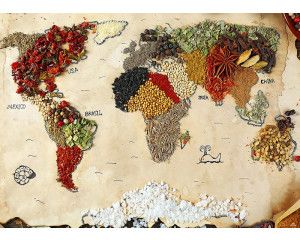Fotobehang van een wereldkaart met allemaal specerijen.