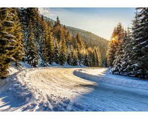 Fotobehang van een winterbos met besneeuwde bomen en een zonsondergang die de lucht in prachtige tinten kleurt.