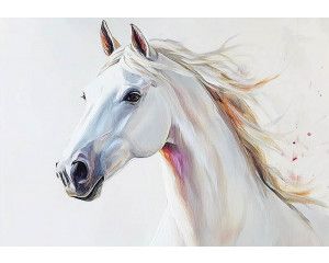 Fotobehang safari dieren avontuur met giraffe, zebra’s en savannelandschap in getekende stijl.